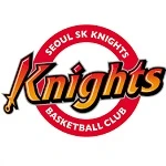 서울 SK 엠블럼