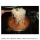 요즘세대들은 모르는 그때 그 시절의 쌀로 만든 라면.jpg