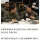 스압) 싱글벙글 미 공군 콜사인 지구촌..jpg